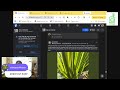 Ask an Arborist LIVE Q&amp;A  #46 - Your Tree Questions, ANSWERED!