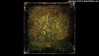 Newsted - Twisted Tail Of The Comet