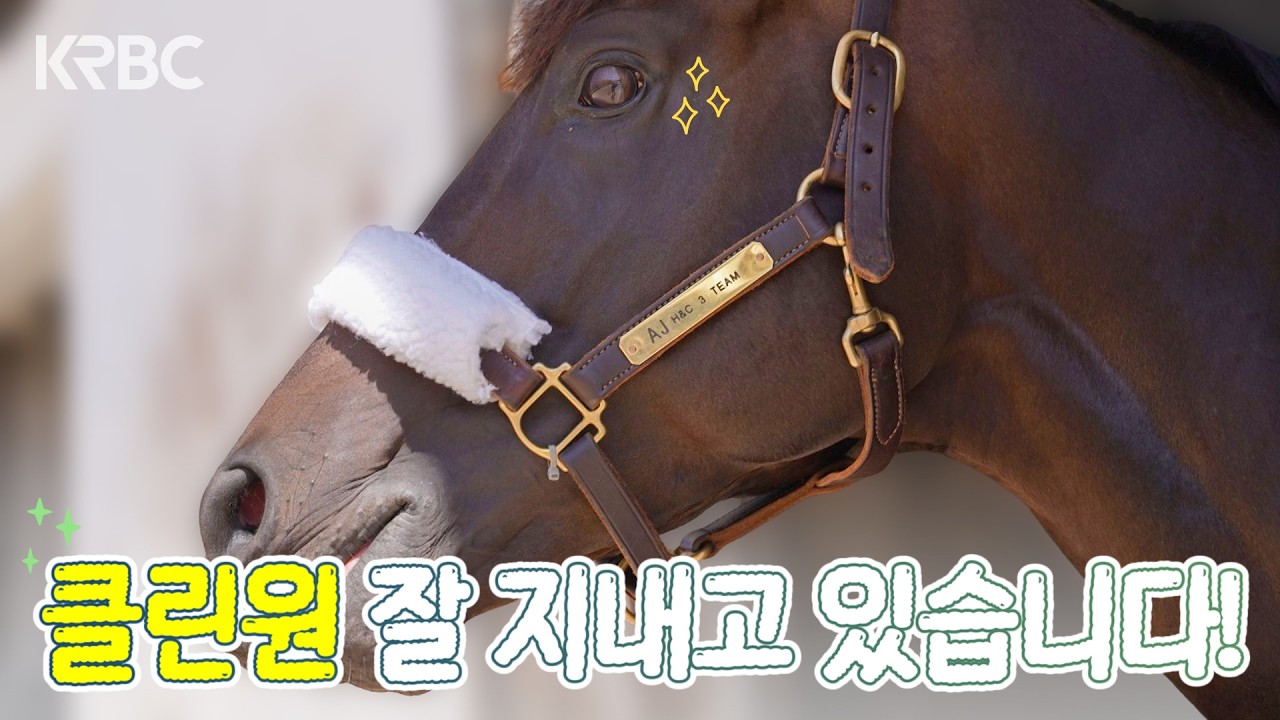 이렇게 된 이상 클린원은 코리아컵으로 간다.