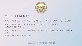 AEN-WLA-EIG, AEN-WLA-EDT, AEN-GVO, AEN DEFER, AEN, AEN-EDU Public Hearings 02-18-2026