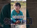 これをイタリアンにアレンジできますか? #こめお #炭火 #shorts
