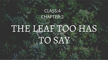 Chapter 2 : The Leaf Too Has To Say| From Class 4