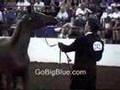 Celebrity Patrick Swayze Arabian Show Horsing