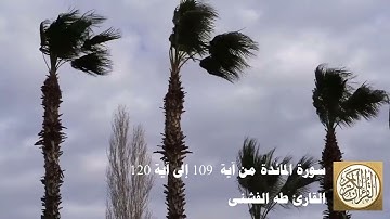 طه الفشني - سورة المائدة من آية  ١٠٩ إلى آية ١٢٠ - يَوْمَ يَجْمَعُ اللَّهُ الرُّسُلَ ...