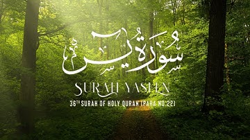 Surah YASEEN(Ya-Seen)سورة يس - Tilawat Of Surah Yasin - 36 Surah Of Holy Quran