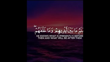 #آية_الكرسي #القرآن_الكريم #سورة_البقرة