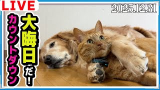 大晦日だよ!みんなで一緒にカウントダウンライブ!