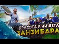 Экскурсии на Занзибаре - Танзания #7 | Ночная жизнь, Дельфины, Снорклинг, Черепахи, Рыбалка, Нунгви