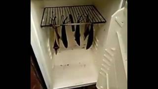 Скумбрия коптим сами