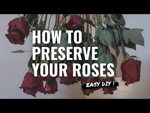 Learn How To Keep Your Roses Forever | Simple DIY by Janine DLV