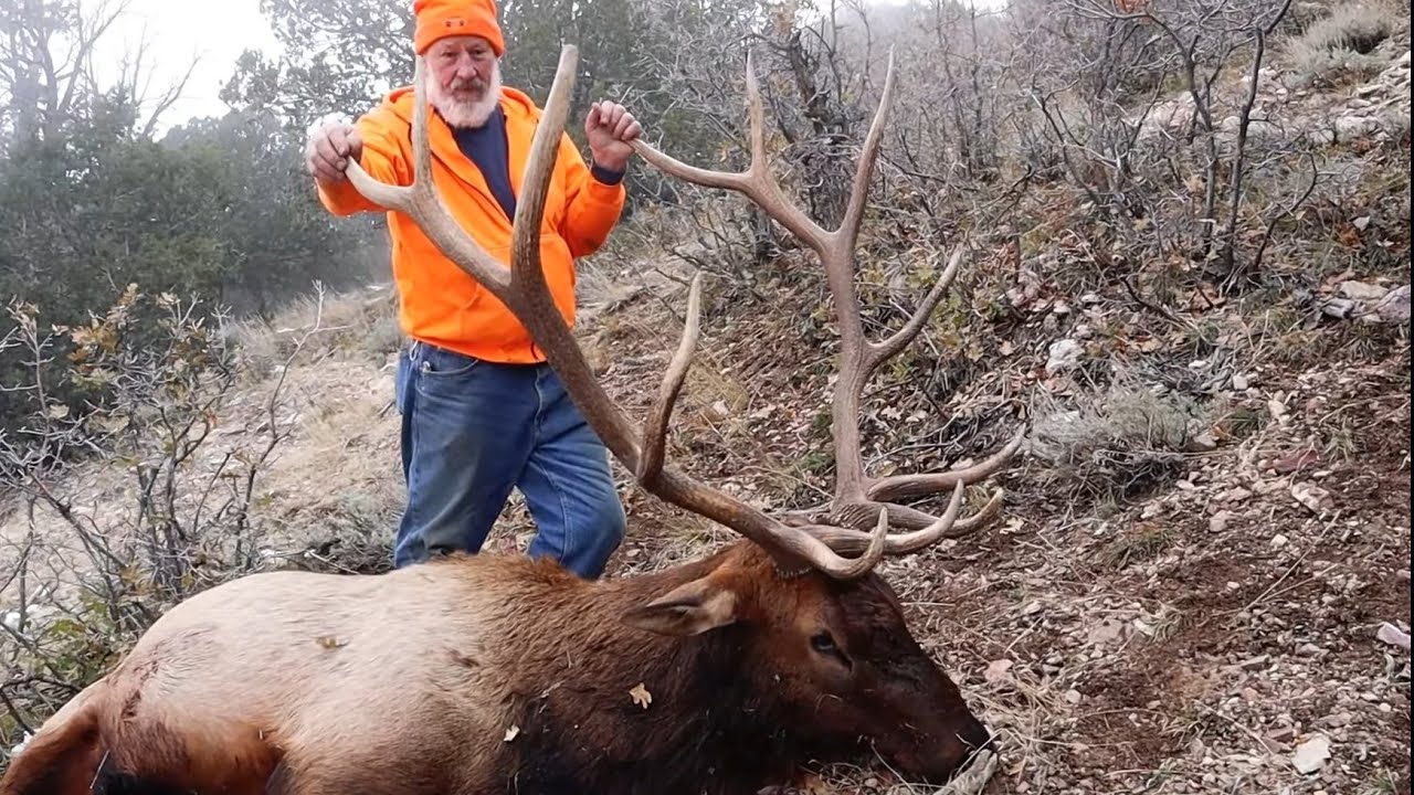 BULL ELK HUNT 2022 BIG 6 POINT BULL ELK HUNTING YouTube