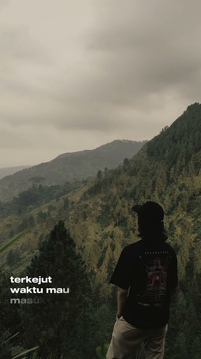 Oemar Bakri - Iwan fals (template capcut )