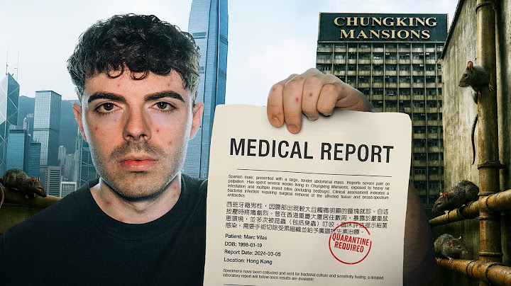 I Almost Died in the Most Infested Hotel in the World