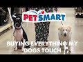 Buying Everything My Dogs Touch *fail*