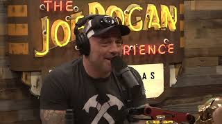 Joe Rogan Reacting to The Biltmore Estate in Asheville Americas Largest Home