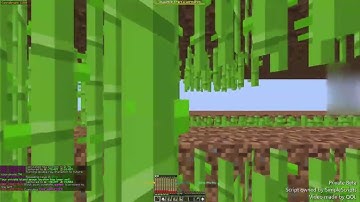 Pizza Client 2m xp/hr Sugar Cane Macro