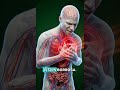 “Mira Cómo La Hipertensión Daña Tus Arterias”