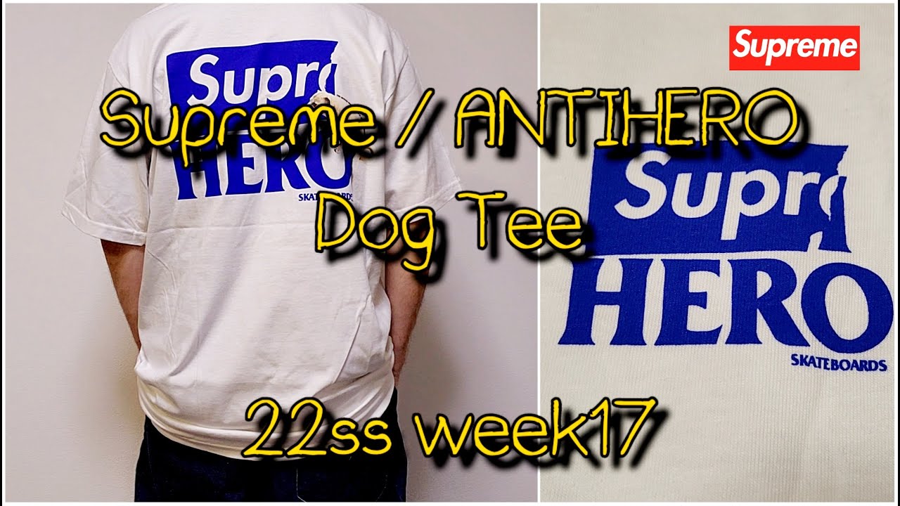 Tシャツ/カットソー(半袖/袖なし)Supreme ANTIHERO Dog Tee