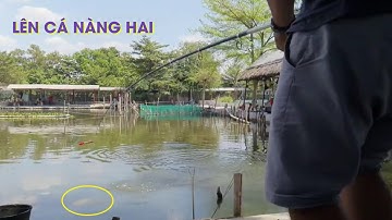 Câu cá giải trí Hồ Lã Vọng - Thanh Đa