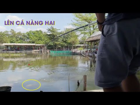 Video Câu cá giải trí Hồ Lã Vọng - Thanh Đa - youtube