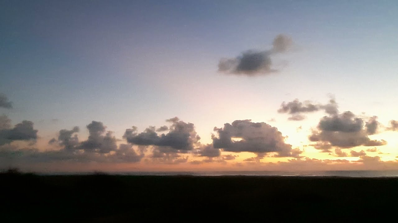 Science Of The Seas The Wire Science