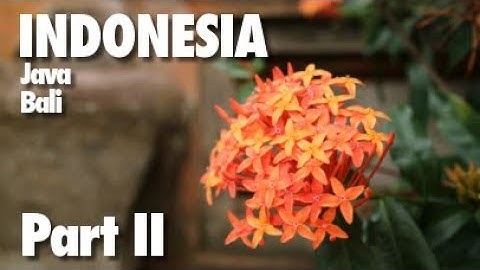 Indonesia - Best of Java & Bali (part II)