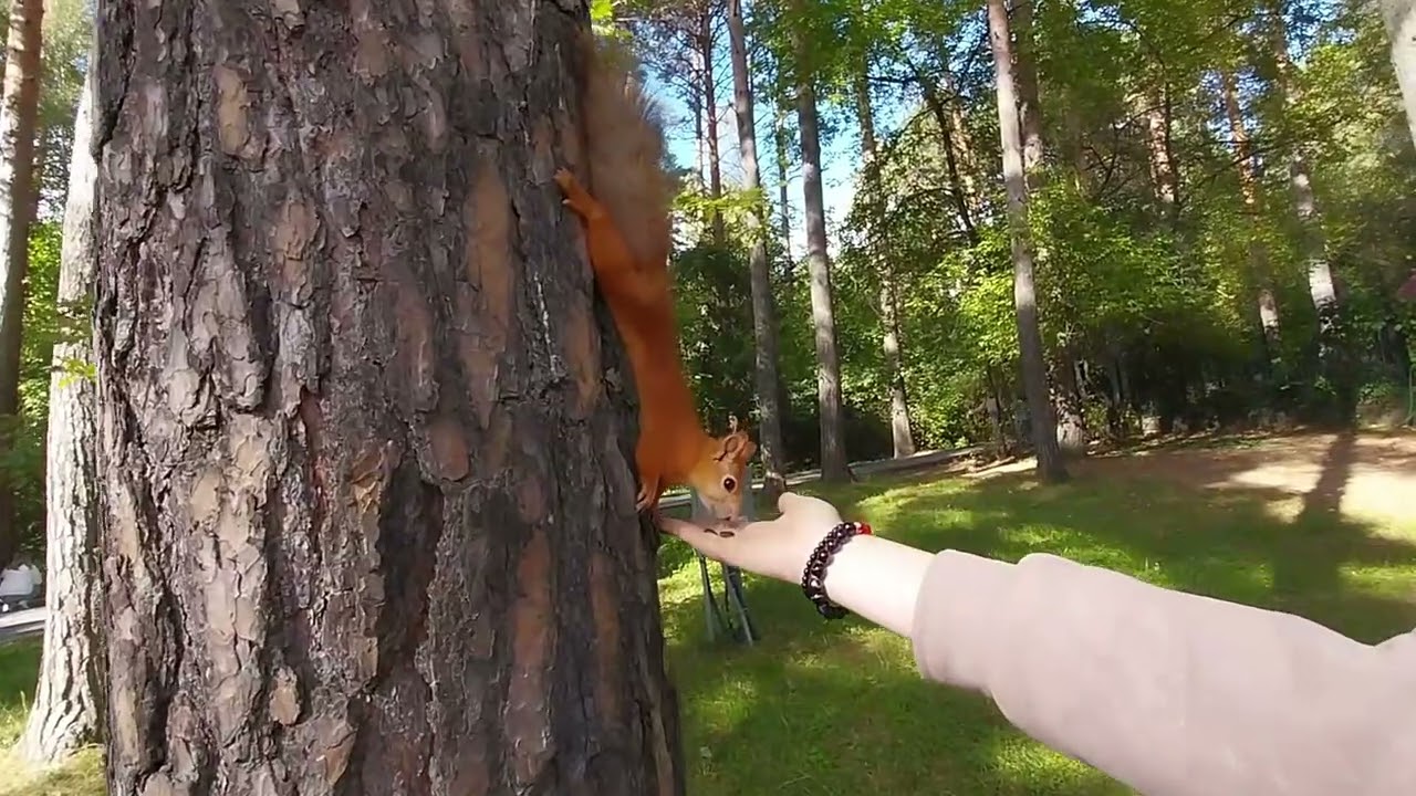 Знаки получаю регулярно, но всё это из серии: показалось...