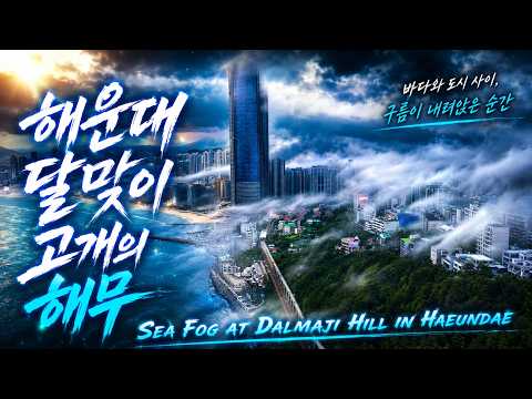 해운대 달맞이고개의 해무 드론영상 Sea fog at Dalmaji Hill in Haeundae drone video
