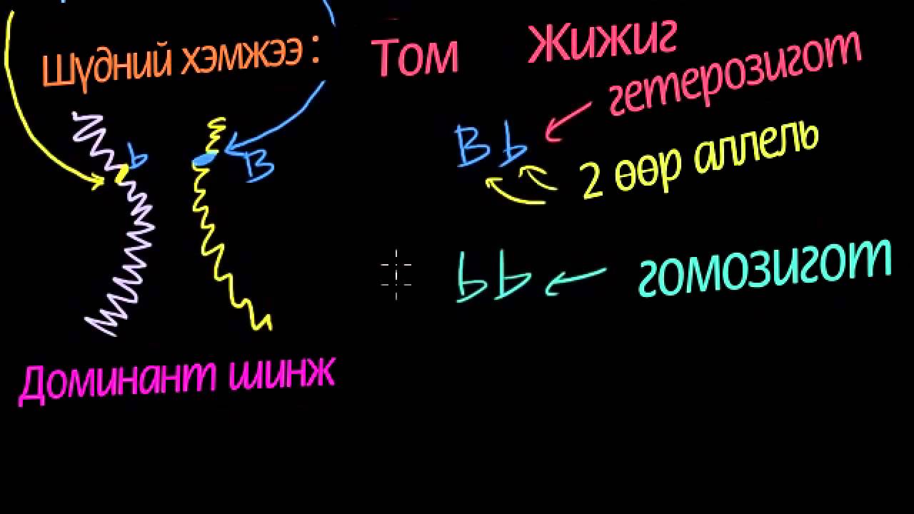 Удамшлыг танилцуулахуй