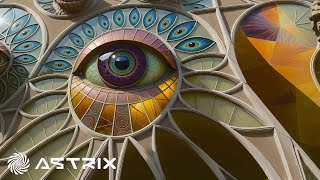 Astrix &amp; Ritmo - Ziran (Antinomy Remix)