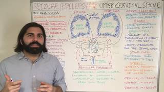 Seizures Epilepsy and the Upper Cervical Spine