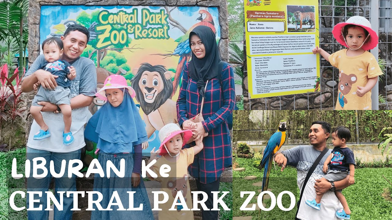 KEBUN BINATANG CENTRAL PARK ZOO MEDAN YouTube