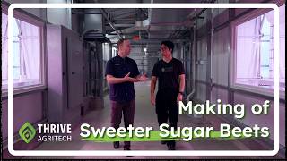 How custom lighting accelerates sugar beet research