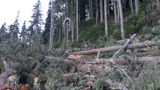 Canadian Air Crane Heli Logging
