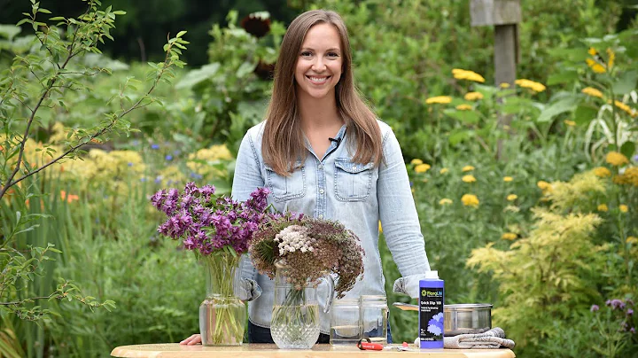 Fix Cut Flowers That Wilt🌼 // Cut Flower Gardening with Northlawn Flower Farms