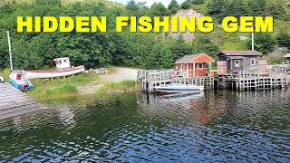 🚤 Quidi Vidi Magic: Stunning Newfoundland Fishing Spot Revealed! 🌅