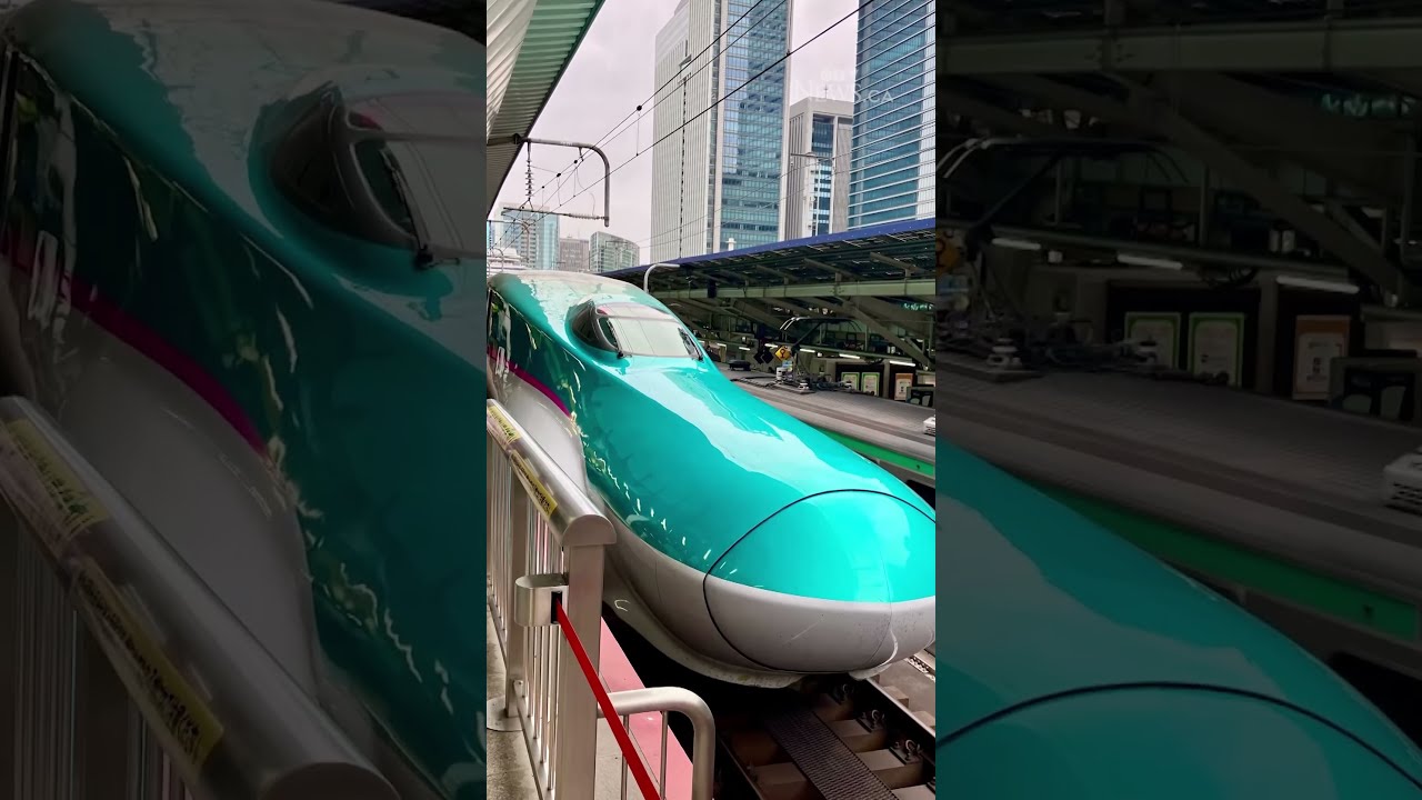 Danielle Smith Touting Idea Of High Speed Rail In Alberta