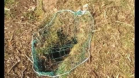 How to set a rabbit purse net # 1