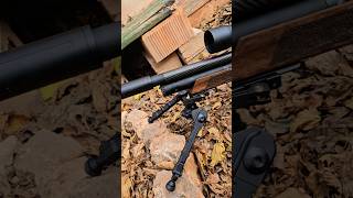 EPIC TWO WALNUT & VALIANT EPIC 5-25X56 & ACCU-TAC & BIOHAZARD #airecomprimido #pcpairrifle