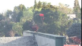IMG 4841