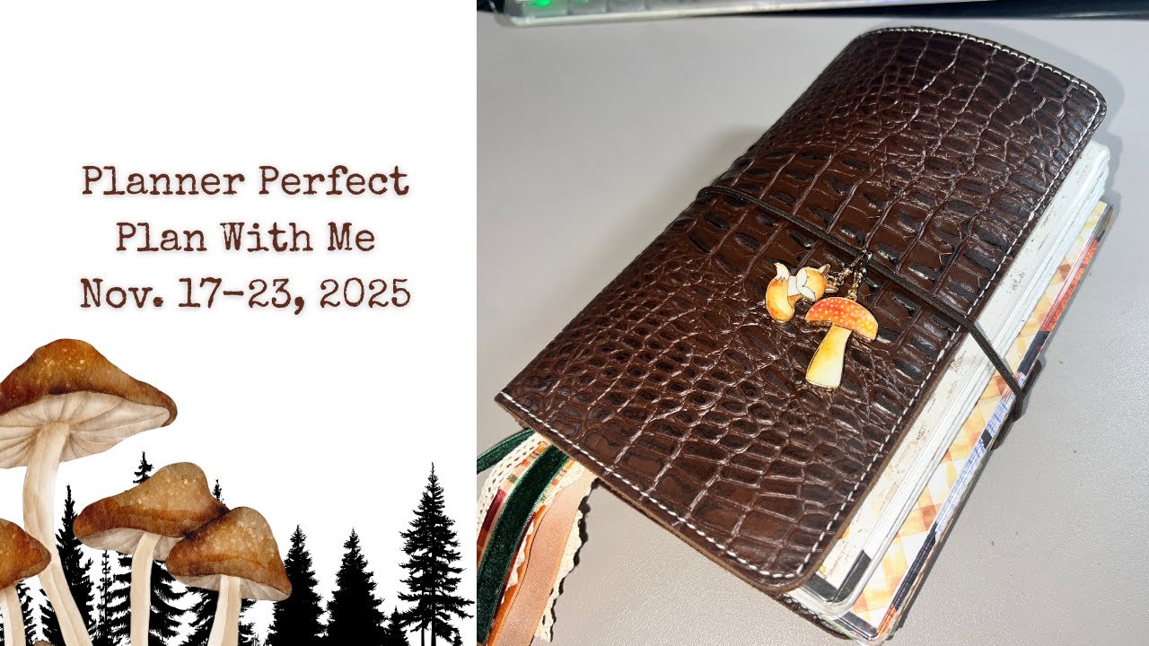 Planner Perfect || Plan With Me || 17–23 ноября 2025 г. || Арабелла Уайд, Теннесси