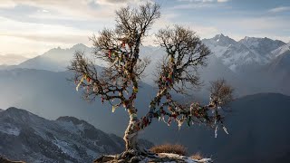 O Yar Gelir - Krocki Anatolian Rock)