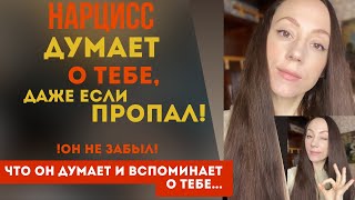 видео: Тайные мысли нарцисса о тебе! картинка: Тайные мысли нарцисса о тебе!