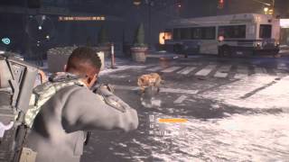 The division is a nutshell