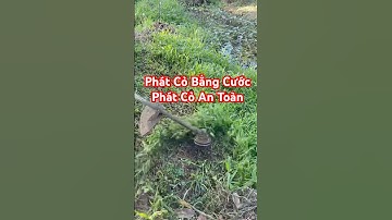 Phát Cỏ Bằng Cước - Máy Phát Cỏ Balô  @AnhCắtCỏ #maycatco #máycắtcỏ #máyphátcỏ #lawncare