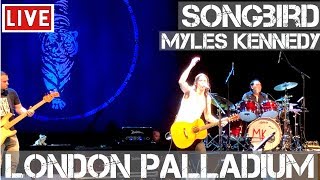 Myles Kennedy ~ Songbird ~ Live in London