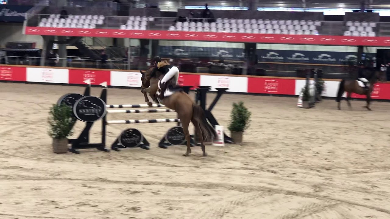 Piece of Cake M - CSI 6yo Sentower Park