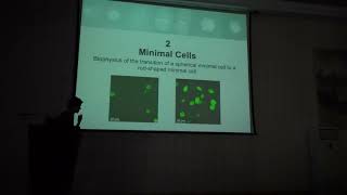 Vincent Noireaux, University of Minnesota, USA | Life in the Universe 2022