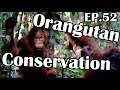 Part 2. Borneo Orangutan Adventure (Sailing Blue Moon) Ep. 52