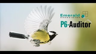 2022-05-03 - P6-Auditor Webinar - Display Information from the P6 Audit Tables